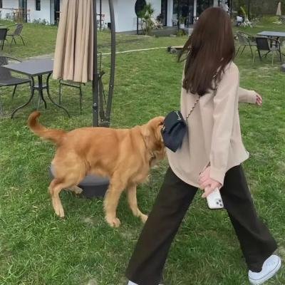 微光下的蓝色男孩